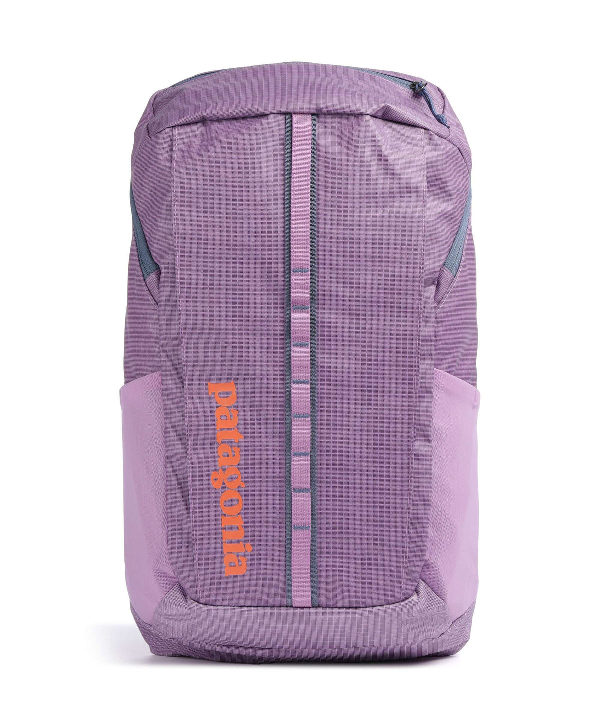 Patagonia Black Hole 25 Backpack brisk purple