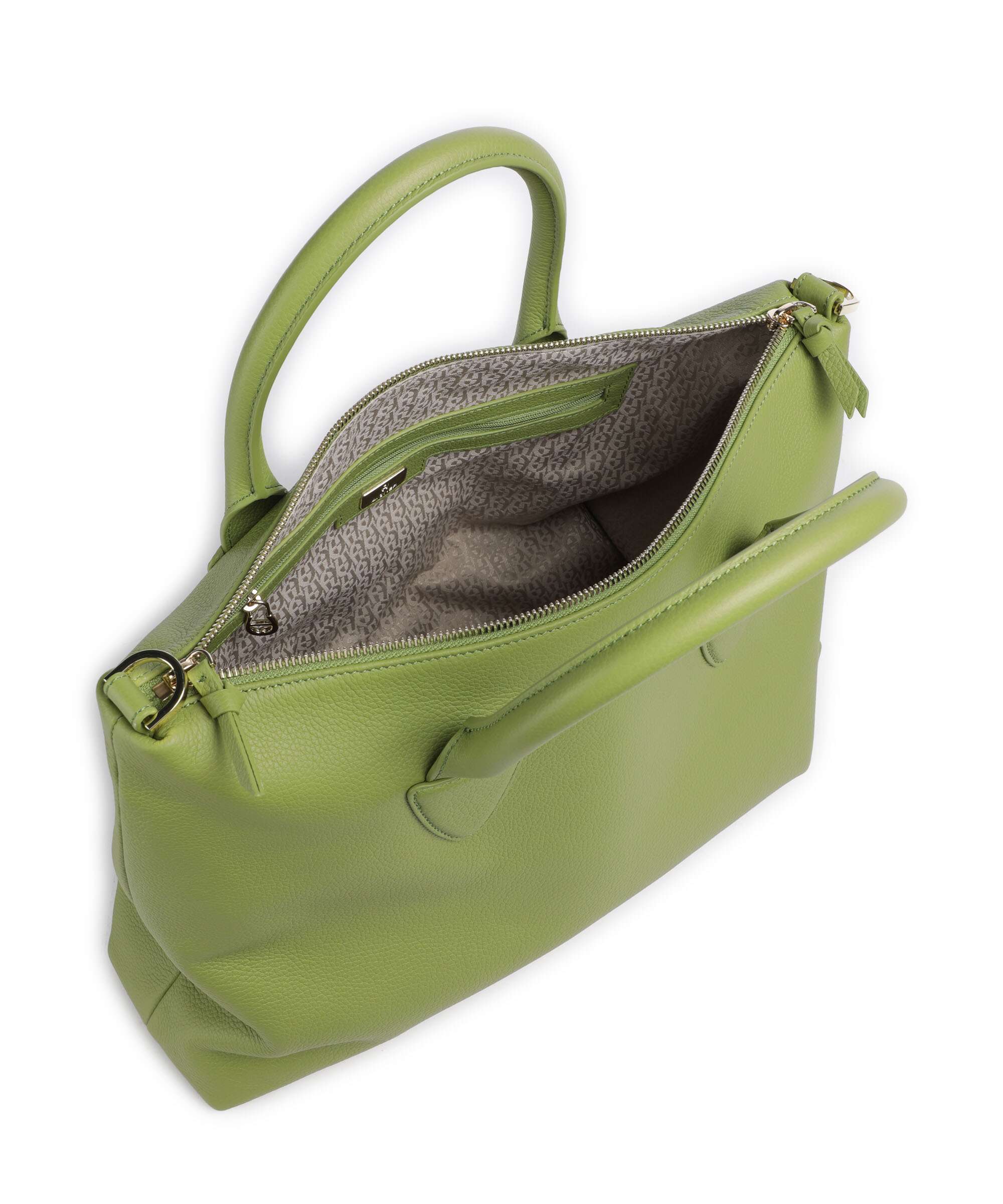 Aigner Zita M Handbag pistachio green