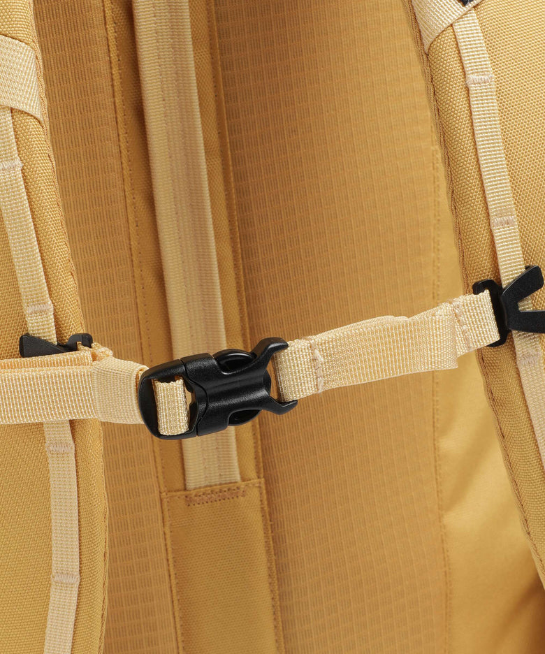 Patagonia Black Hole 32 Backpack pufferfish gold/beeswax tan