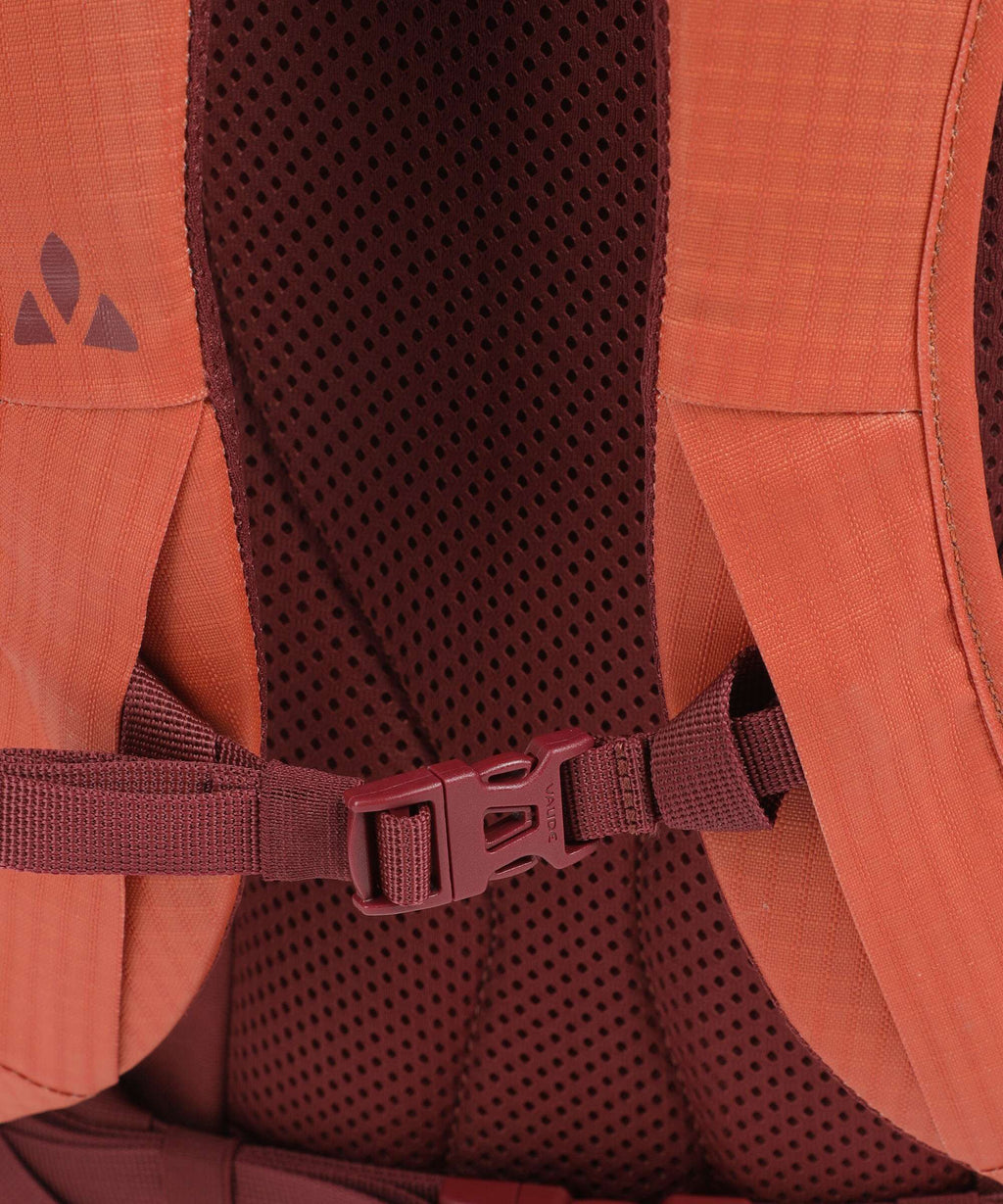 Vaude CityGo 23 ll Backpack buckeye