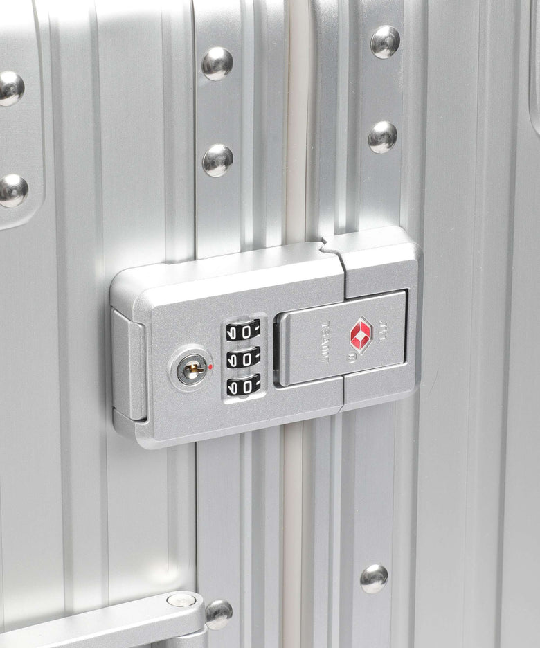 Aleon Classic 21 International Spinner (4 wheels) platinum