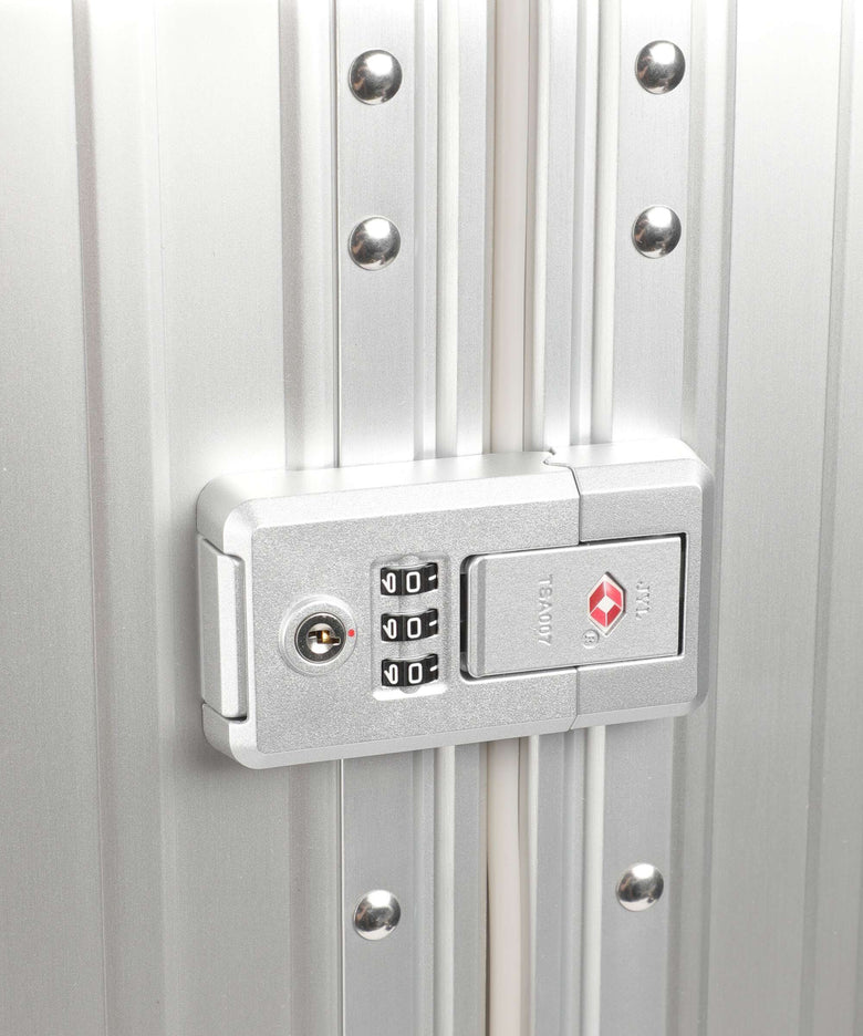 Aleon Classic 30 Macro Traveler Spinner (4 wheels) platinum