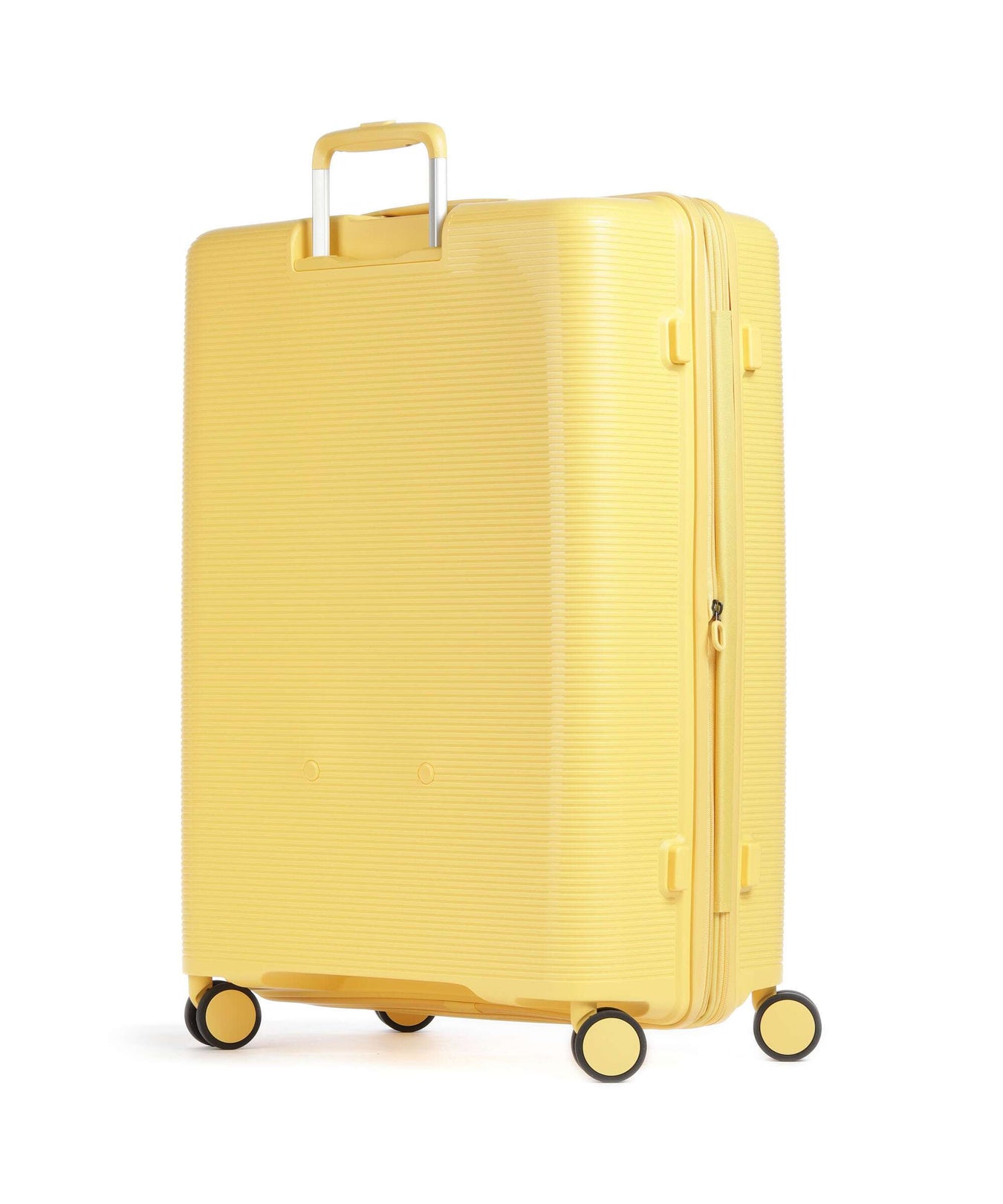 Echolac Forza L Spinner (4 wheels) yellow