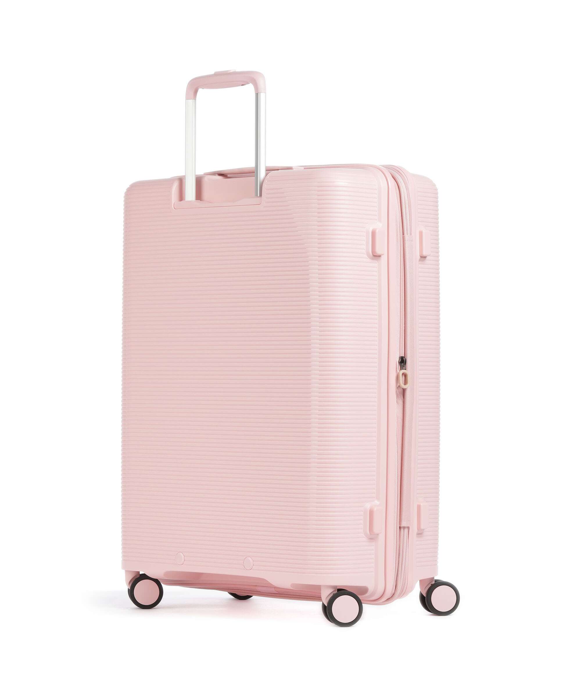 Echolac Forza M Spinner (4 wheels) pink