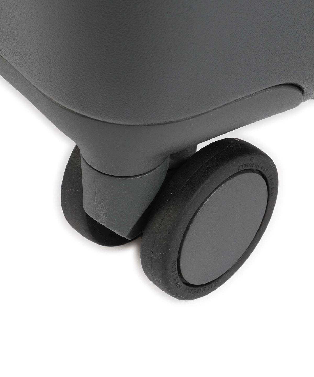 Echolac Panda S Spinner (4 wheels) anthracite/grey