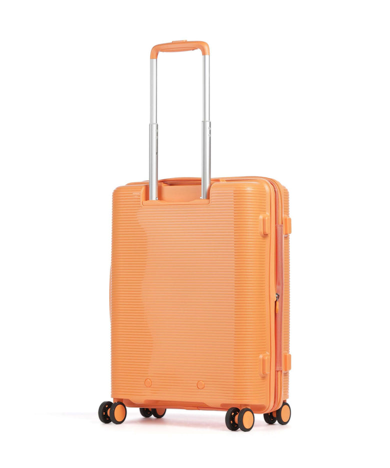 Echolac Forza S Spinner (4 wheels) apricot crush