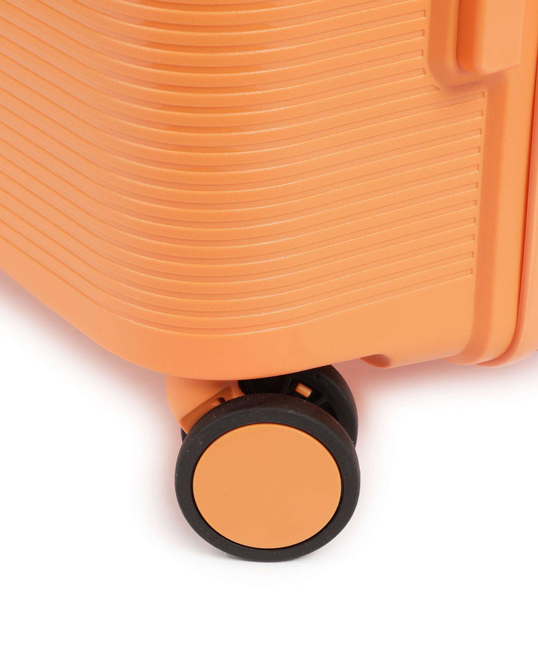 Echolac Forza L Spinner (4 wheels) apricot crush