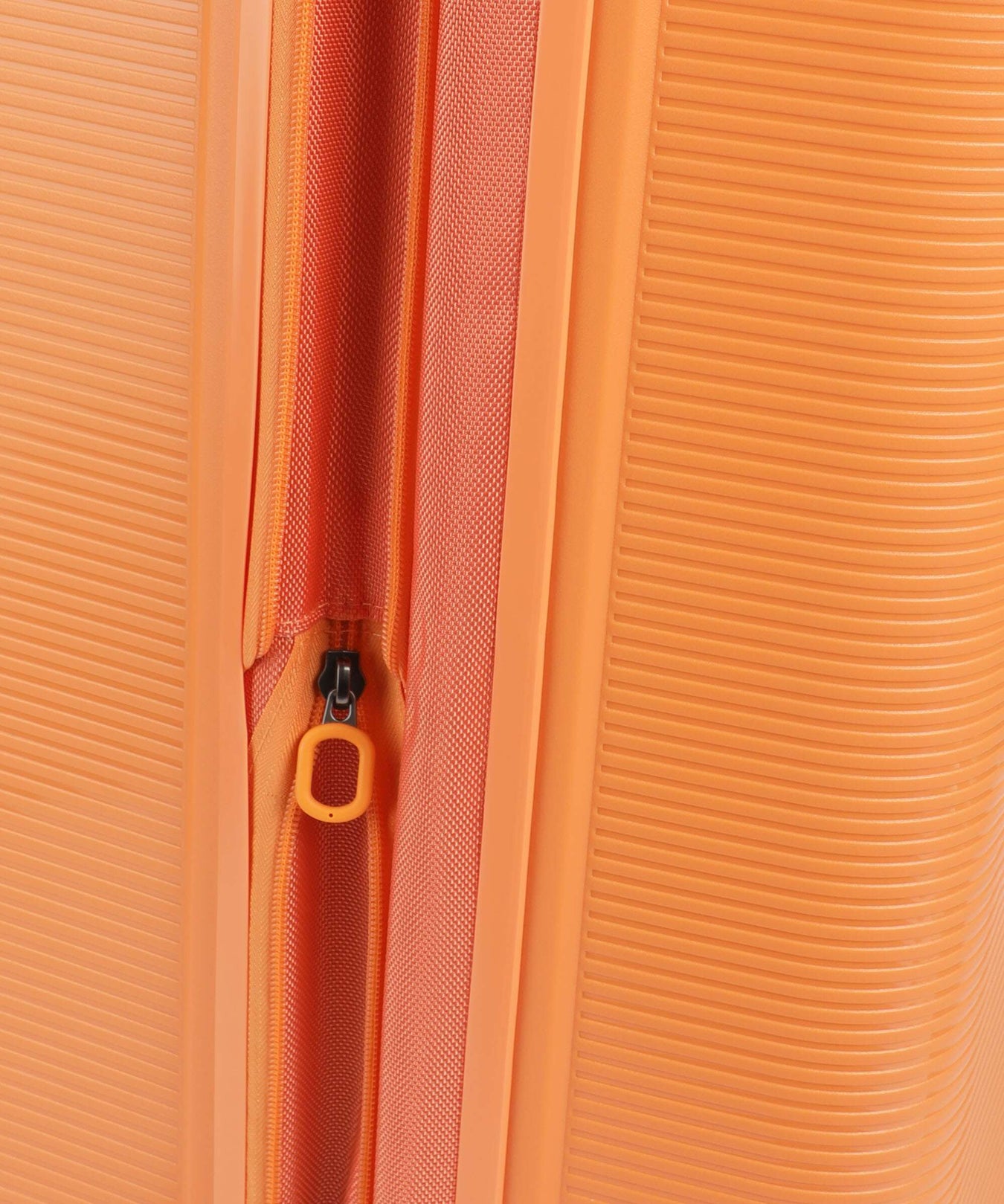 Echolac Forza L Spinner (4 wheels) apricot crush