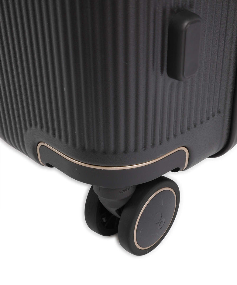 Echolac Dynasty VLX M Spinner (4 wheels) dark chocolate