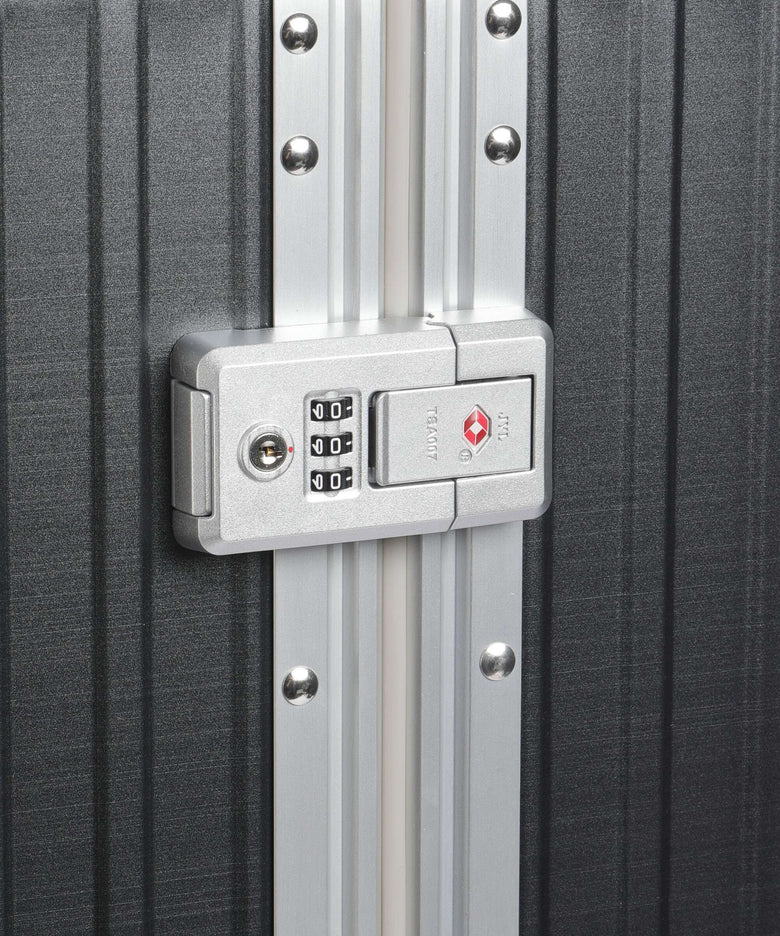 Aleon Fortis 30 Macro Traveler Spinner (4 wheels) onyxdust