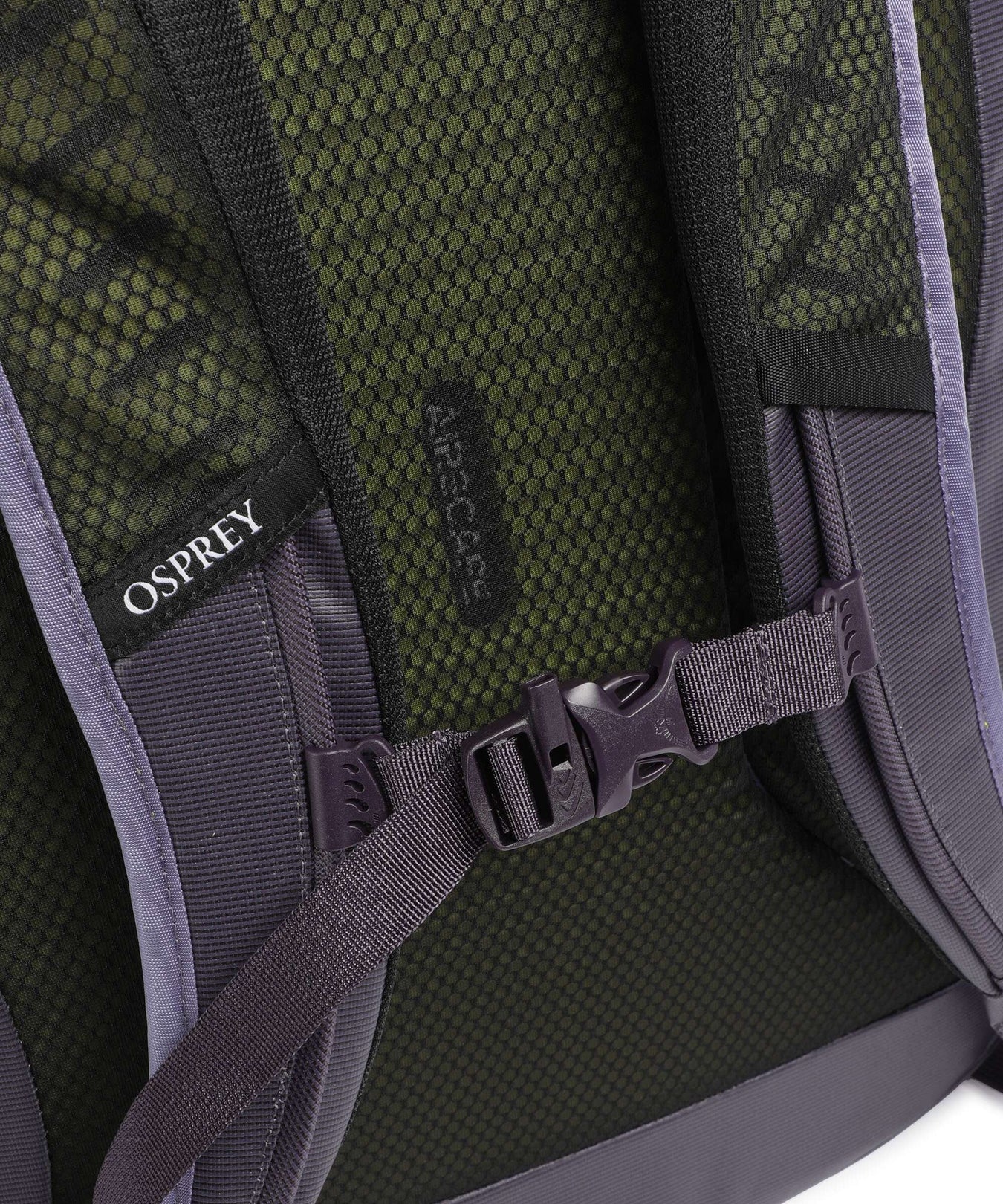 Osprey Transporter 36 Travel backpack euphoria purple