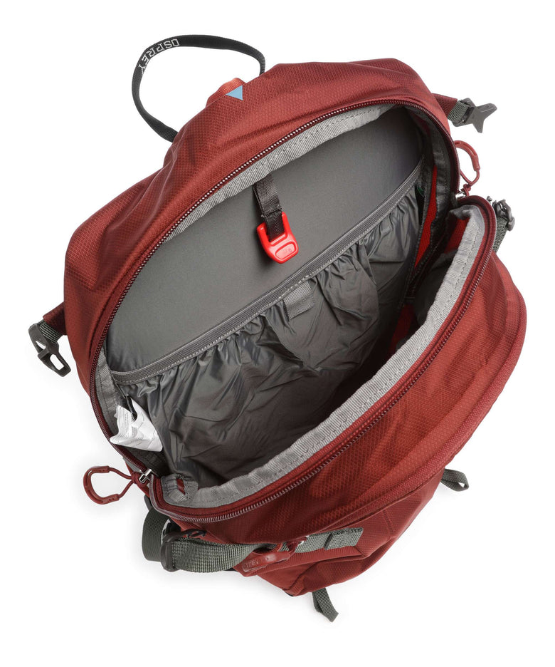 Osprey Sportlite 15 Hiking backpack acorn/bonsai